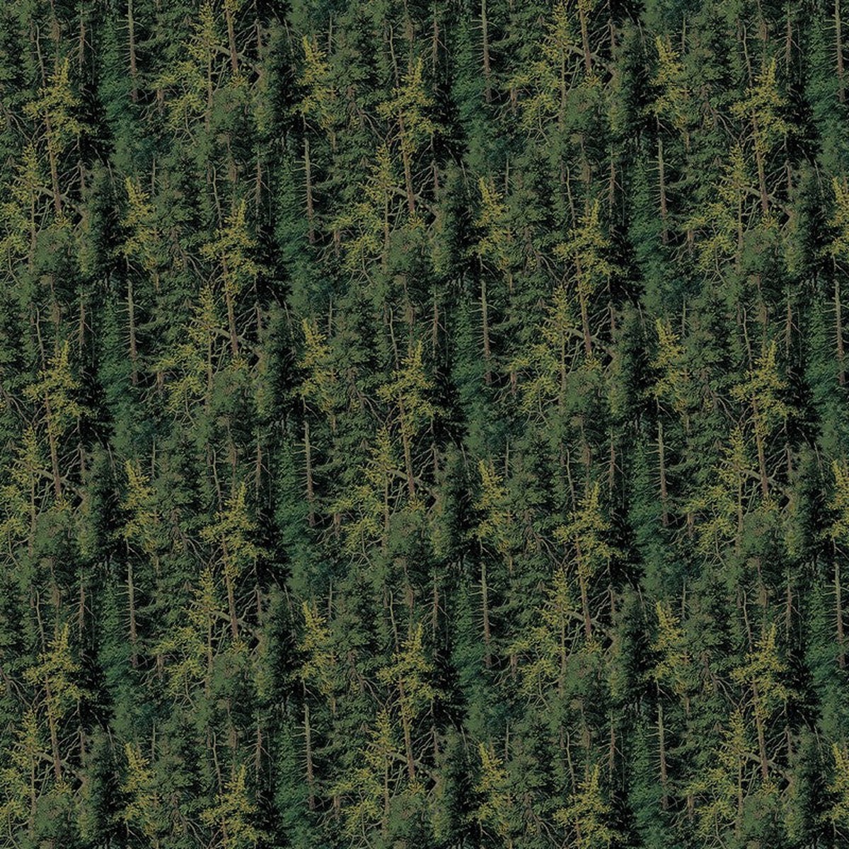 Highland Ridge - Evergreen Trees in Green - Deborah Edwards & Rosemary Millette - Northcott (Pre-order: Dec 2026)