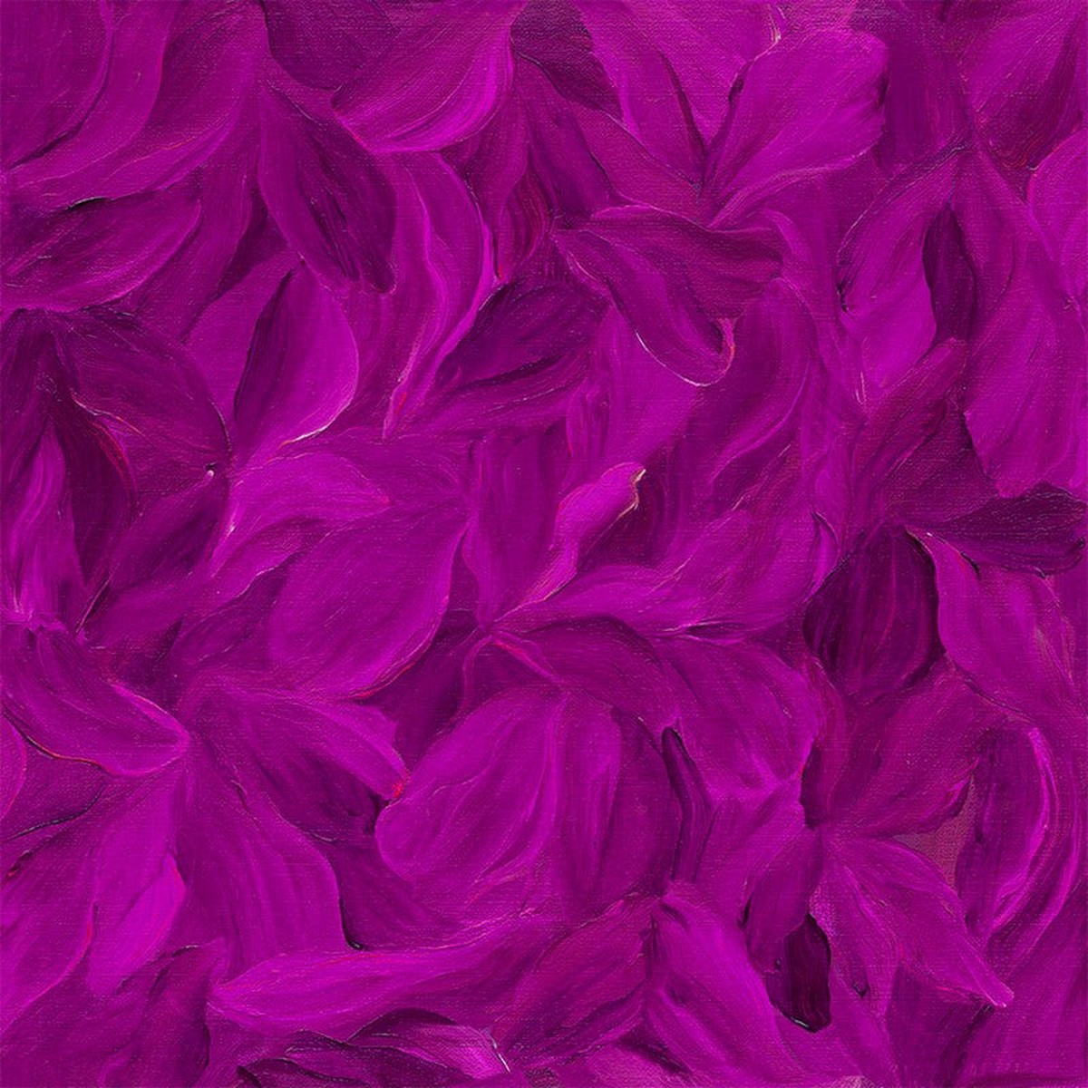 Tulip Festival - Zuzu in Fuchsia - Stephanie Brandonberg - Northcott