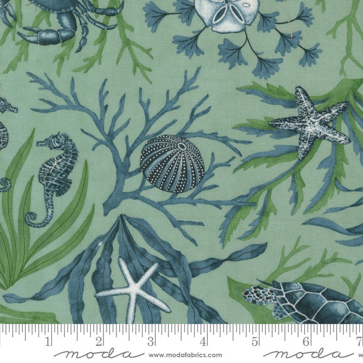 Seaside - Coastal in Aqua - Deb Strain - Moda (Pre-order: Feb 2027)