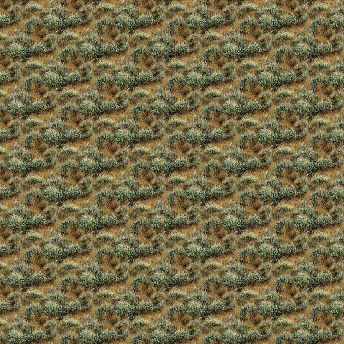 Grand Prairie - Grass in Green - Rosemary Millette - Northcott (Pre-order: Jan 2027)