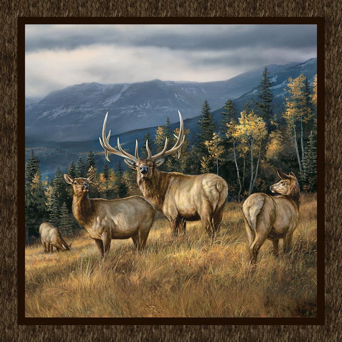 Highland Ridge - PANEL in Brown - Deborah Edwards & Rosemary Millette - Northcott (Pre-order: Dec 2026)