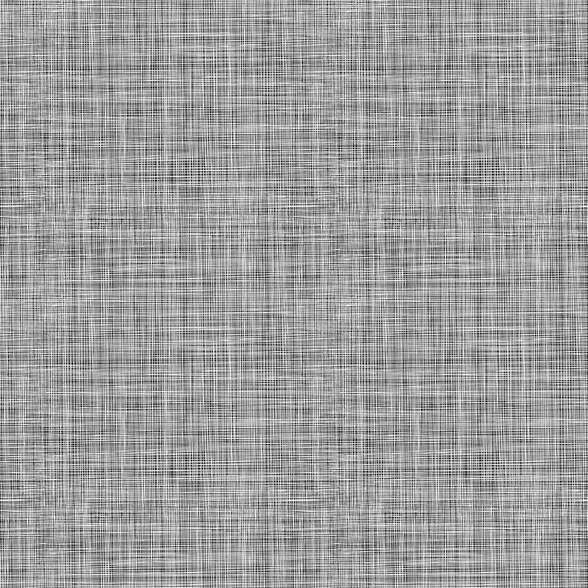 Basically Black & White - Lily's Linen Negative (10729-98) - Patrick Lose - Northcott - Full Bolt (10m) (Pre-order: June 2026)