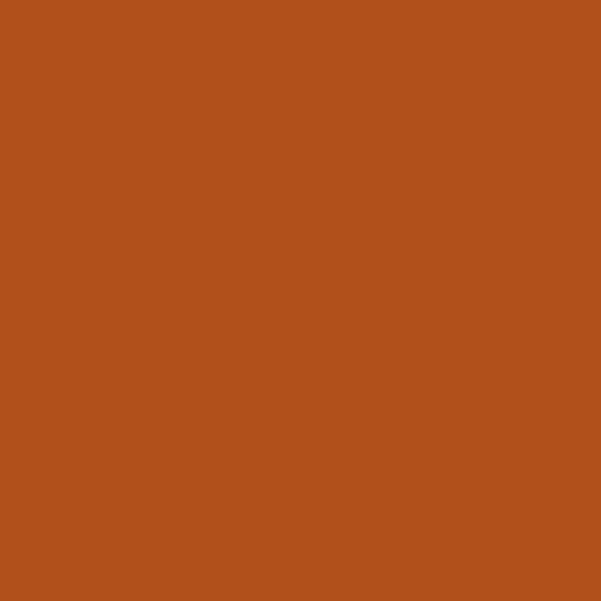 Colorworks Solids - Cinnamon Stick Full Bolt