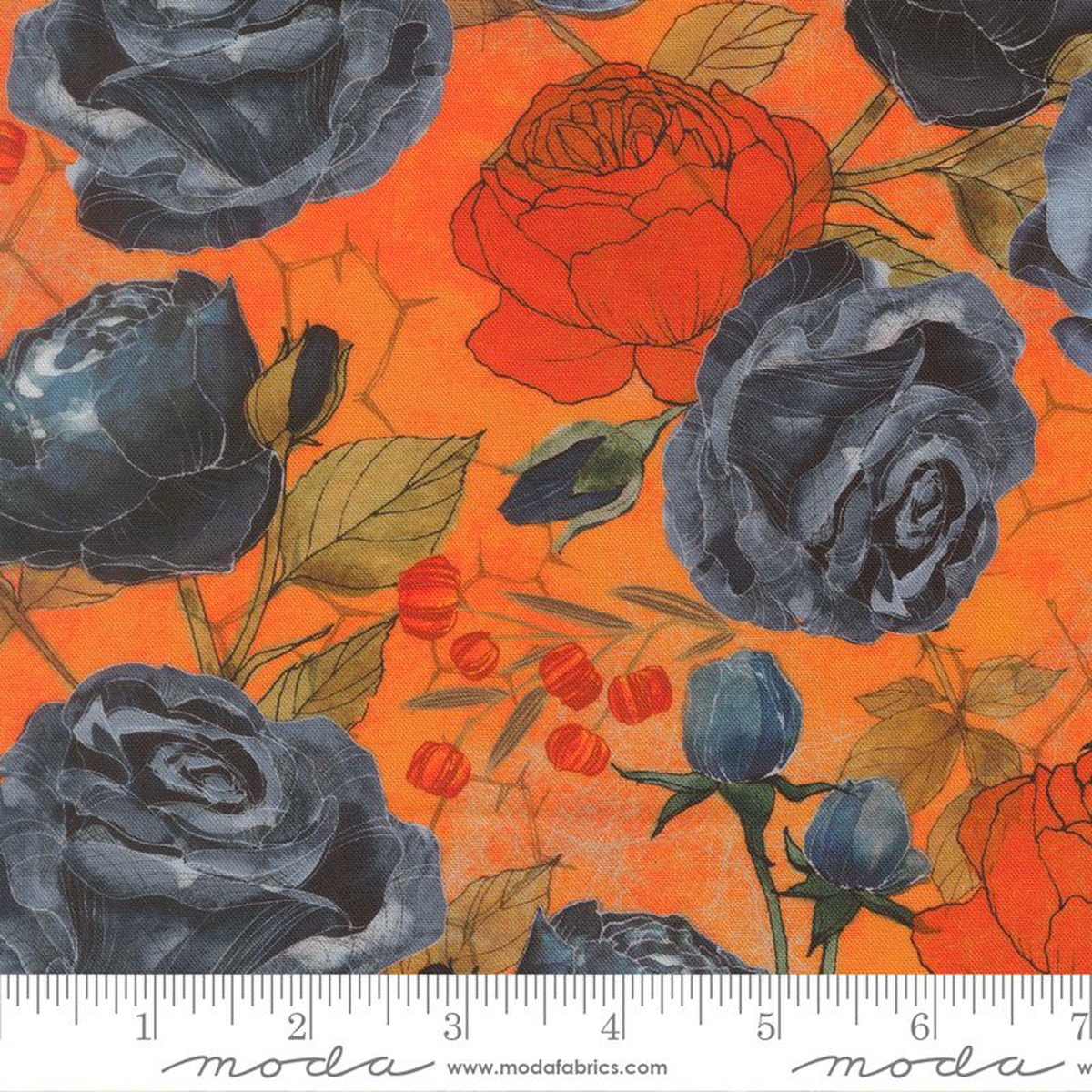 Coven - Main in Pumpkin - Robin Pickens - Moda