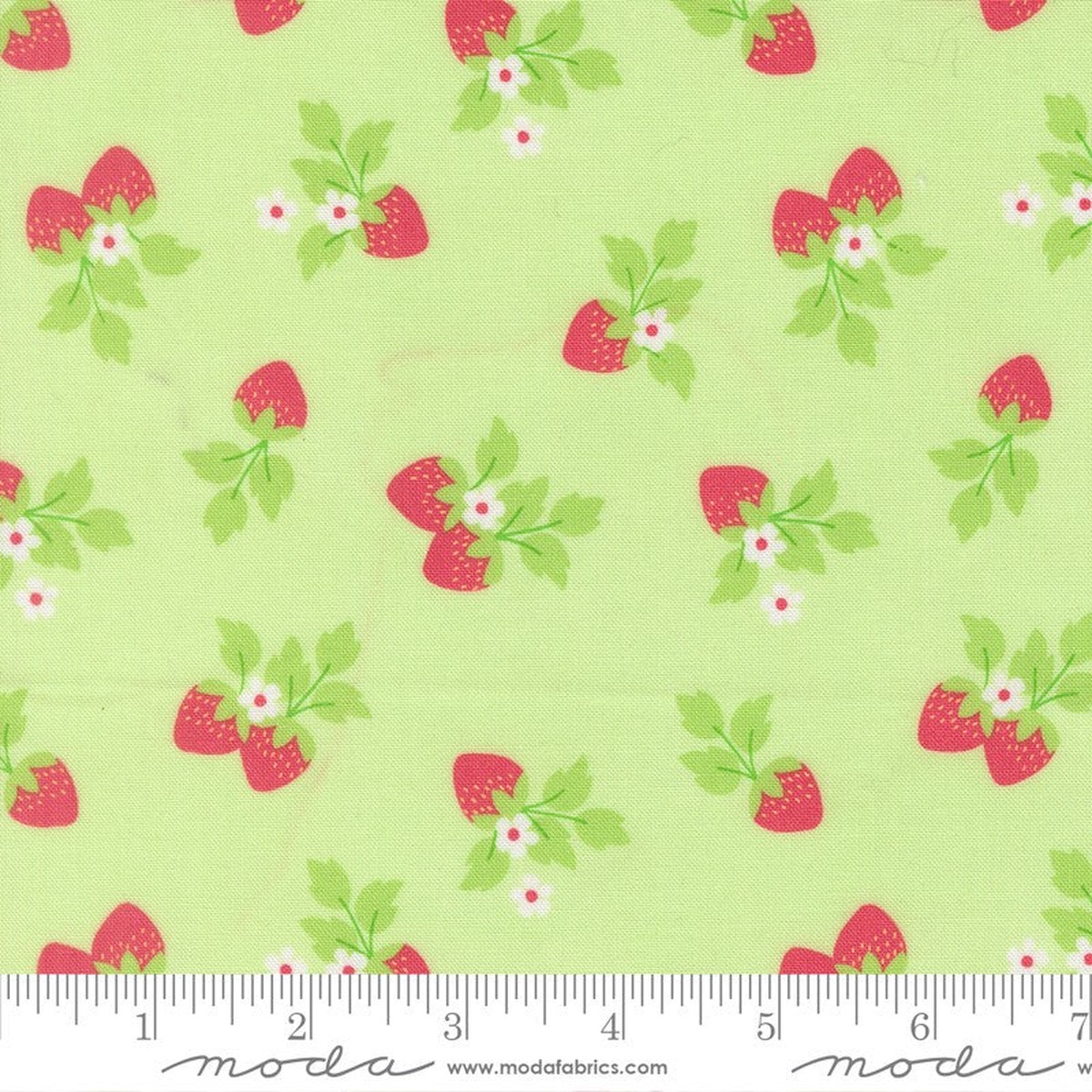 Fruit Salad - Strawberries in Melon - Corey Yoder - Moda