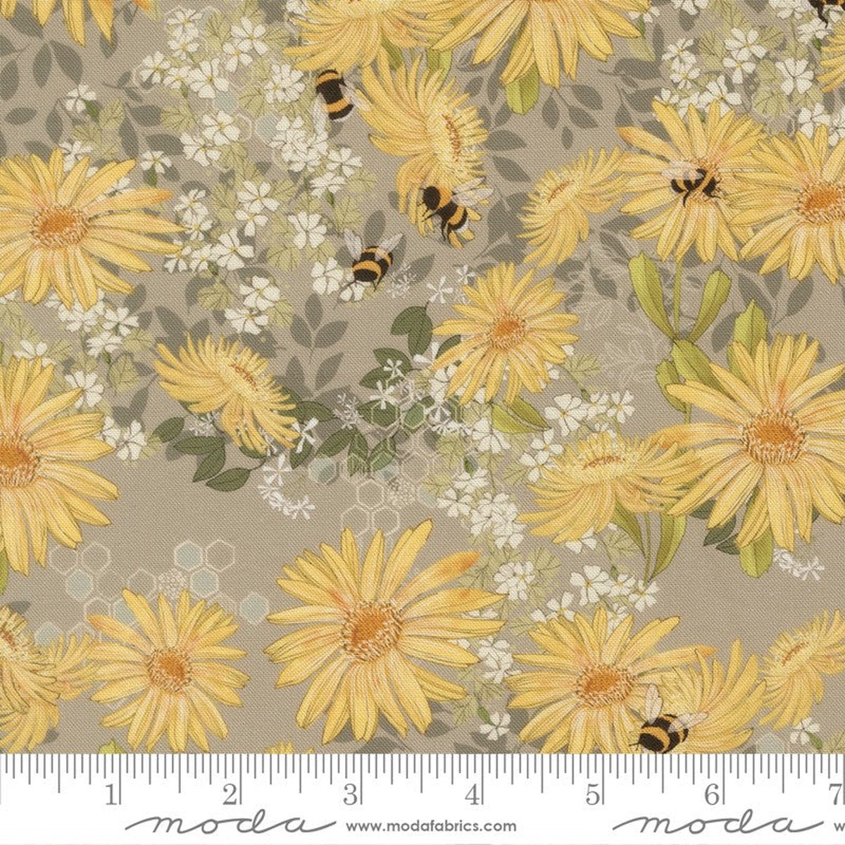 Pollinators - Daisies in Pebble - Robin Pickens - Moda (Pre-order: Jan 2027)