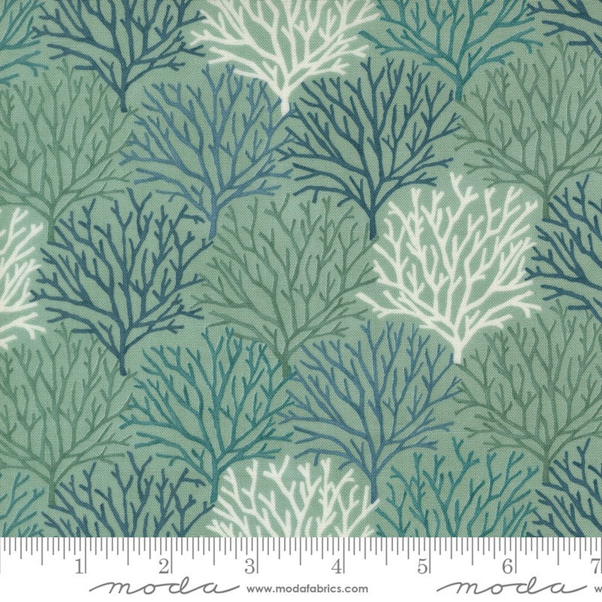 Seaside - Coral in Aqua - Deb Strain - Moda (Pre-order: Feb 2027)