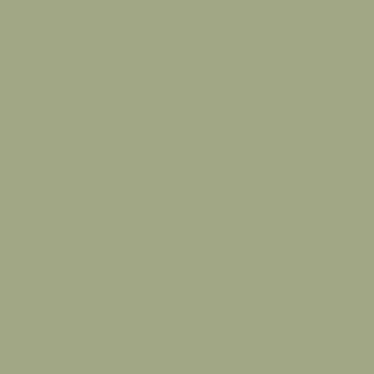 Colorworks Solids - Dusty Sage (9000-737) Full Bolt (12m)