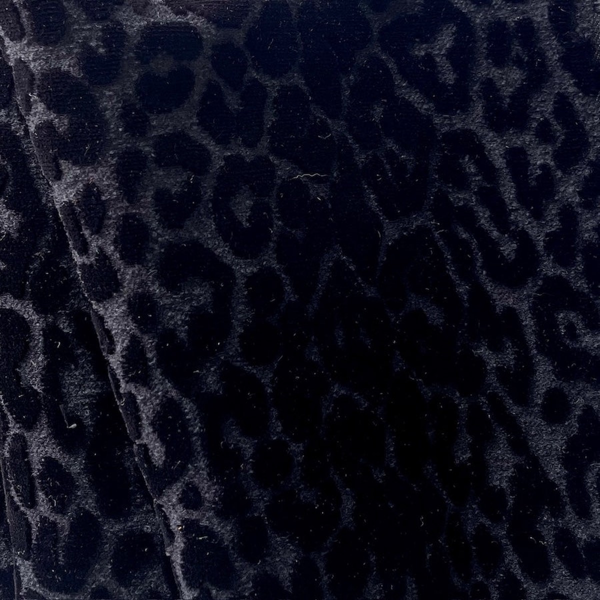 Giambattista Valli Coatweight Ebony Velvet Leopard Silk Blend (Made in Italy)