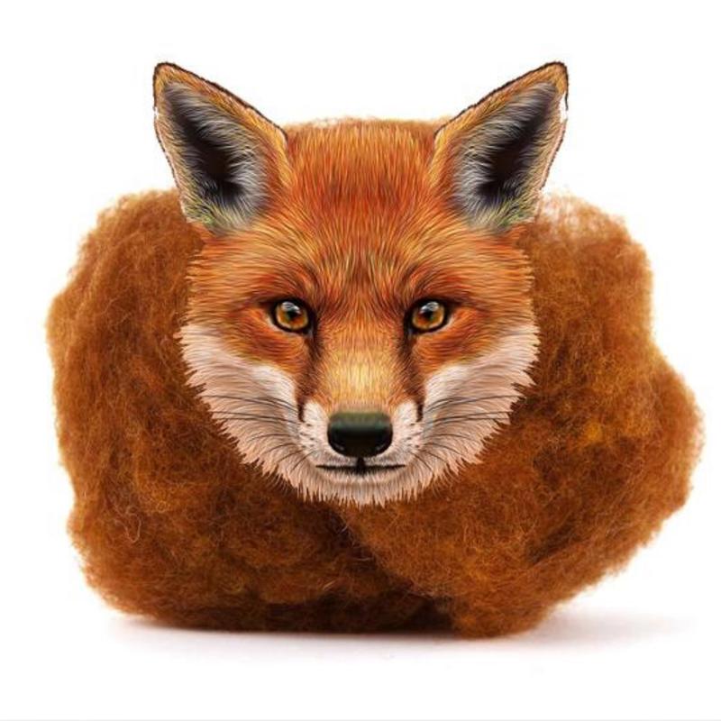 Carded Corriedale Slivers - Fox