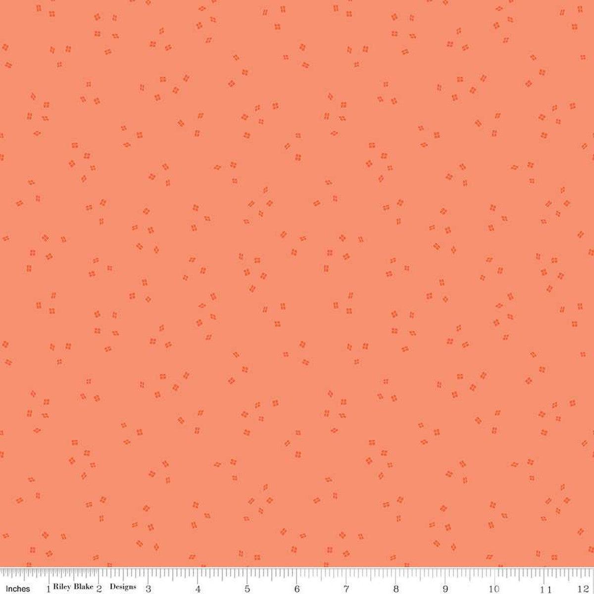 Blossom Lane Collection Windows Cotton Fabric C14007