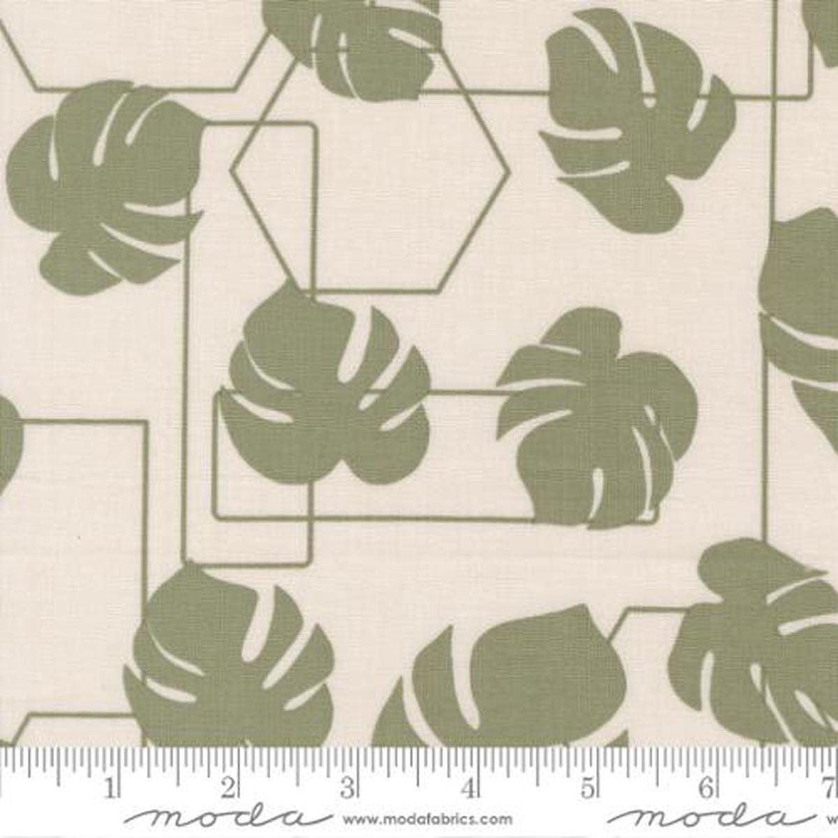 Potted Collection Monstera Geo Canvas Cotton Fabric 26142