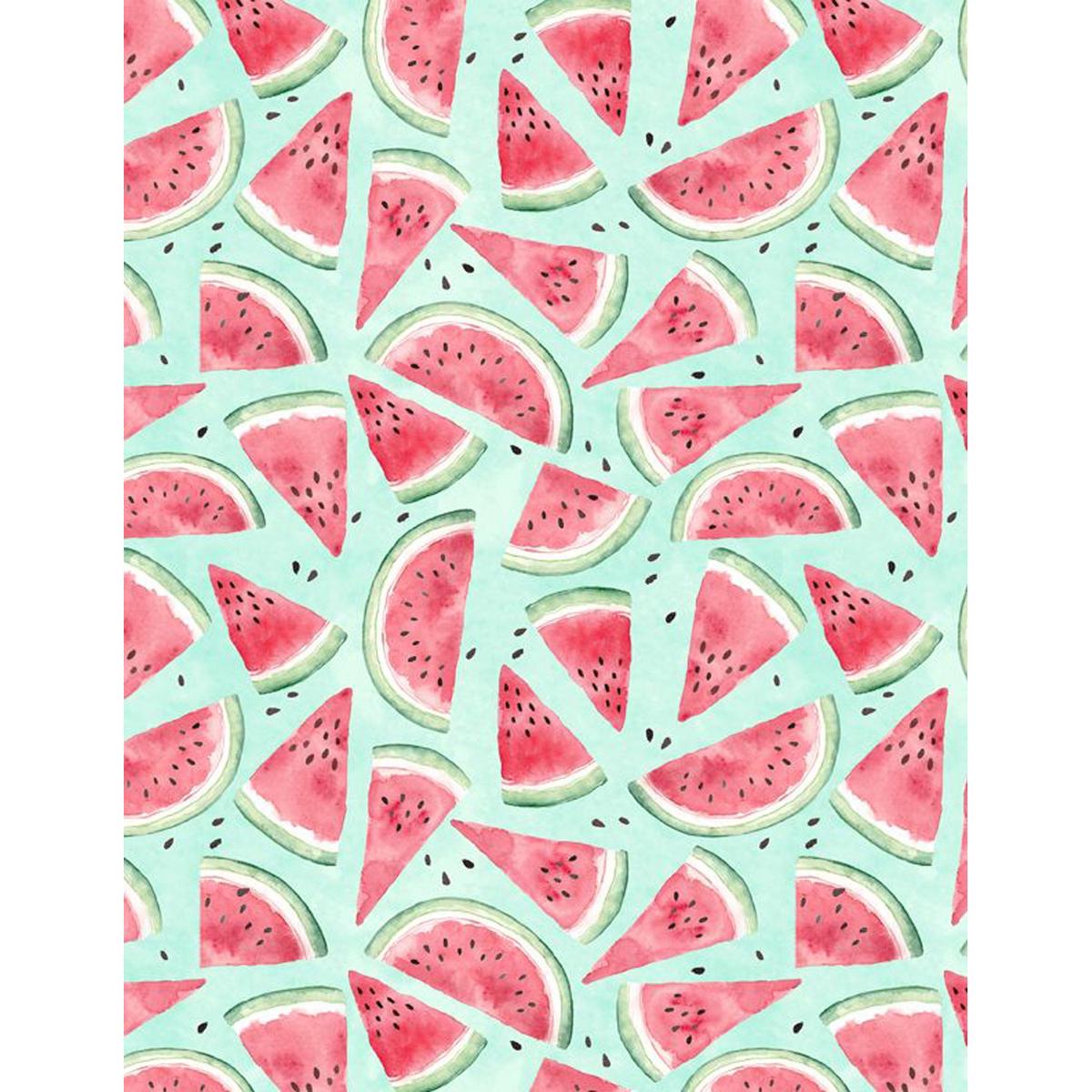 Squeeze The Day Collection Cotton Fabric Watermelon 1810-42464