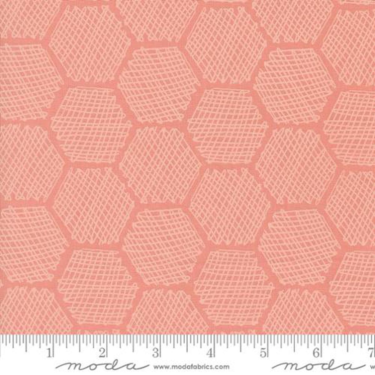 Bee Garden Collection Honeycomb Cotton Fabric 48416