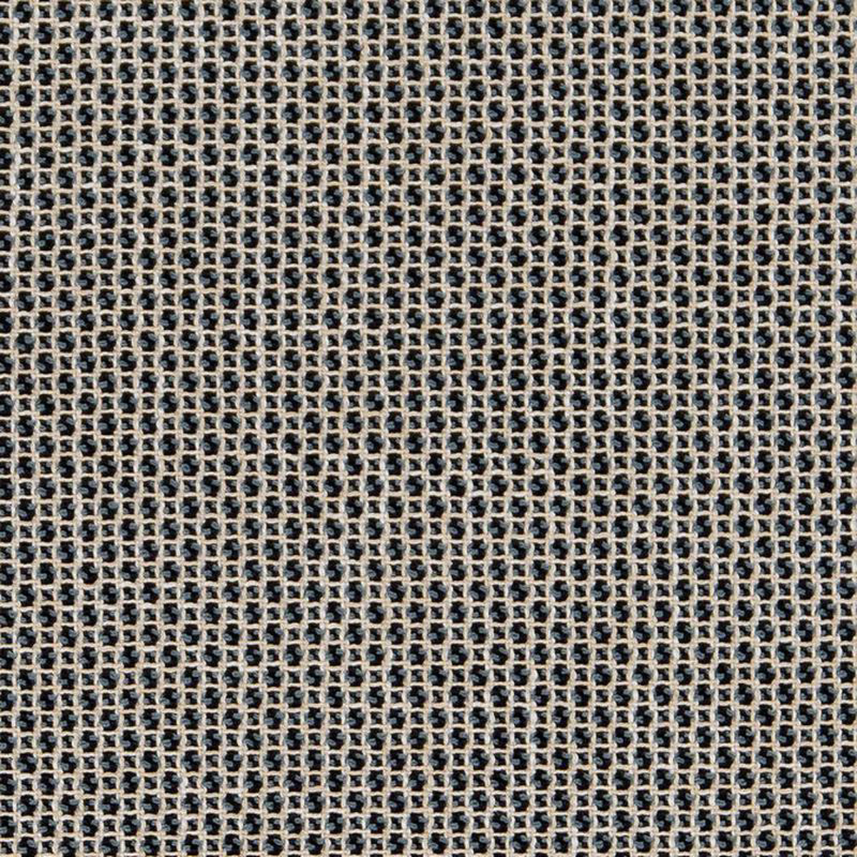 CB800-264 by Charlotte Fabric