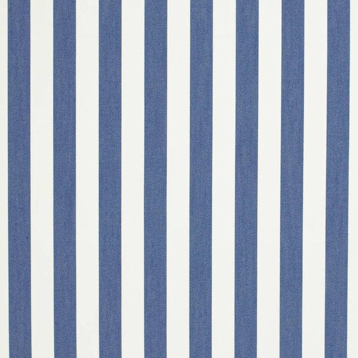 D3471 by Charlotte Fabric