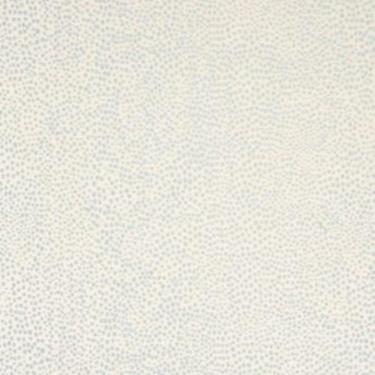 Scalamandre Fabric Raindrop Mineral