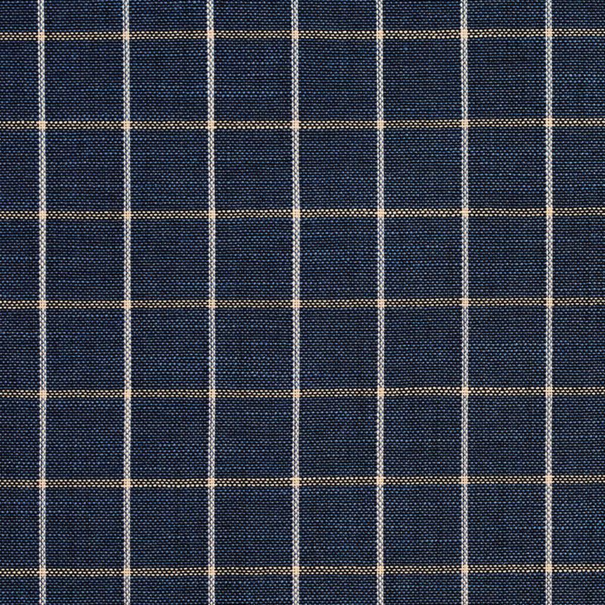D127 Indigo Checkerboard by Charlotte Fabric