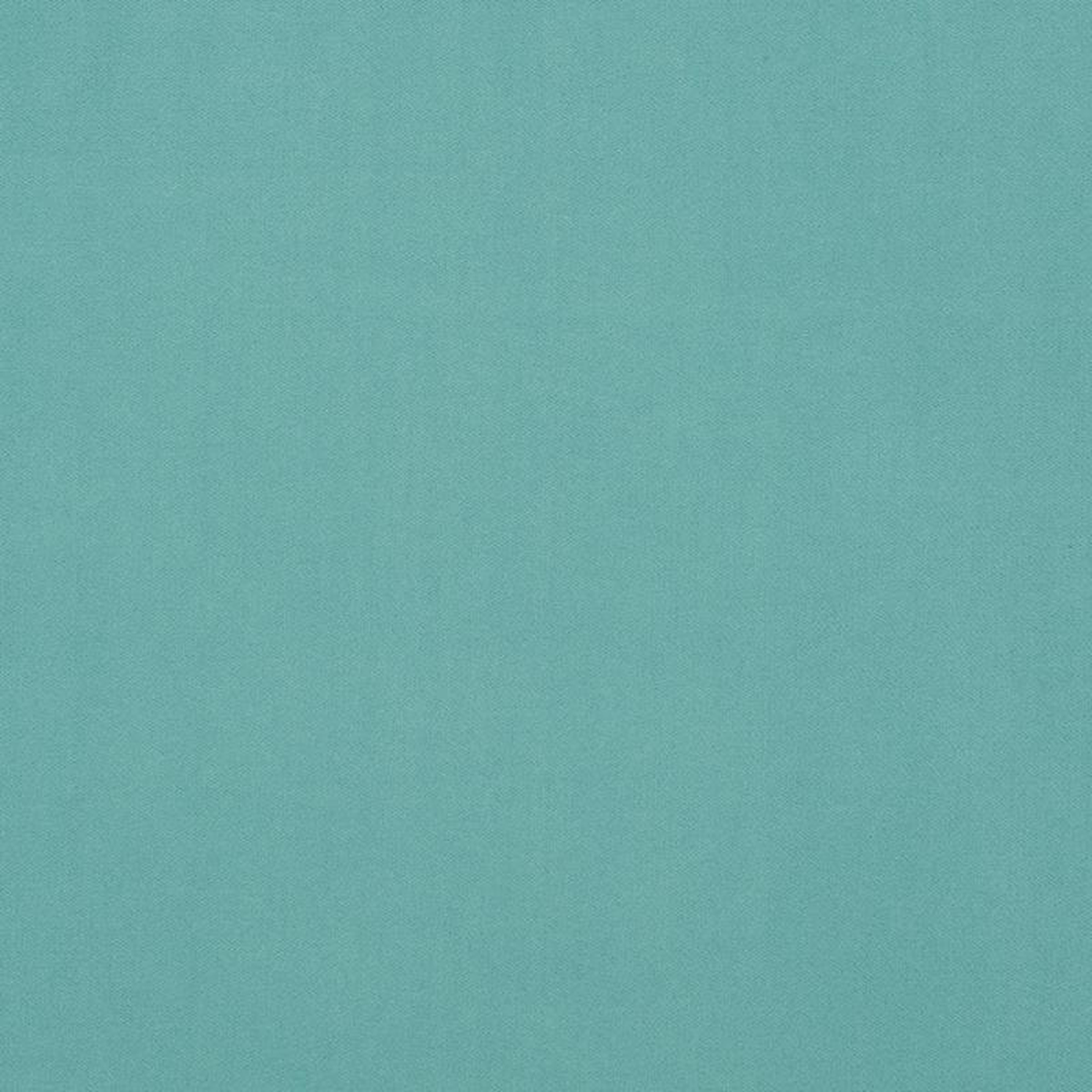 Salute 62J7191 by JF Crypton Fabric