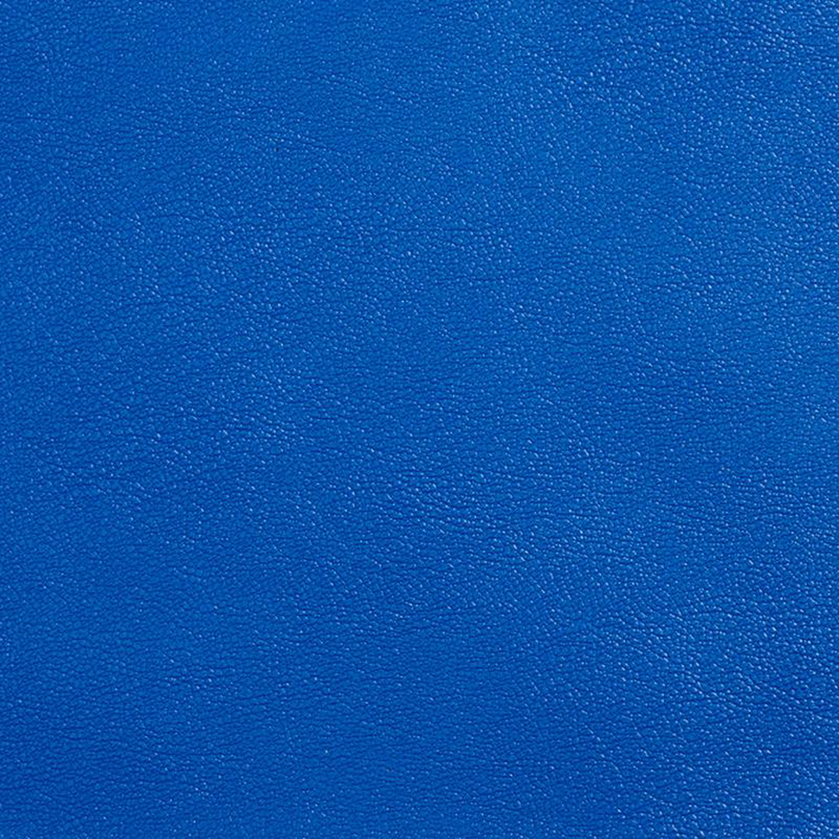 Allsport-Royal Royal by Charlotte Fabric