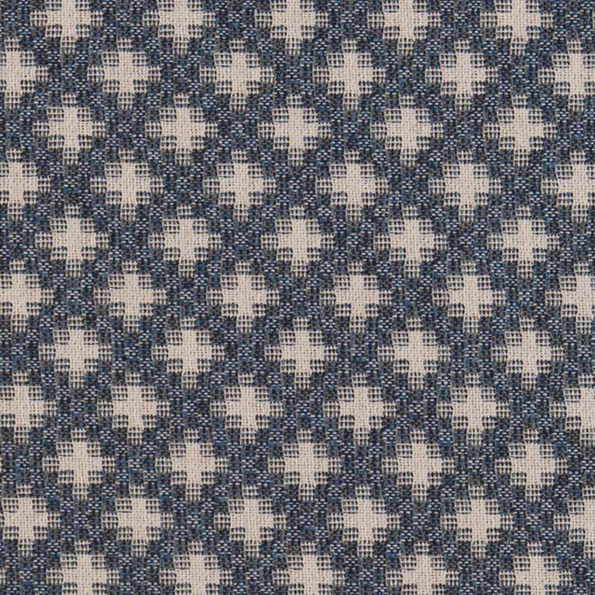 CB800-238 by Charlotte Fabric