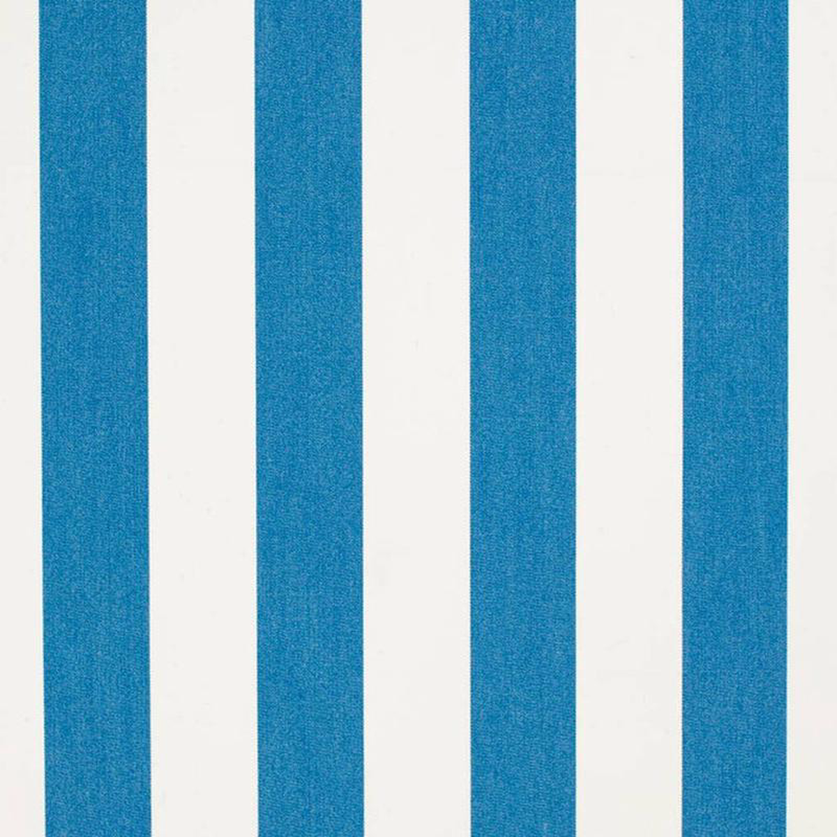 D3489 by Charlotte Fabric