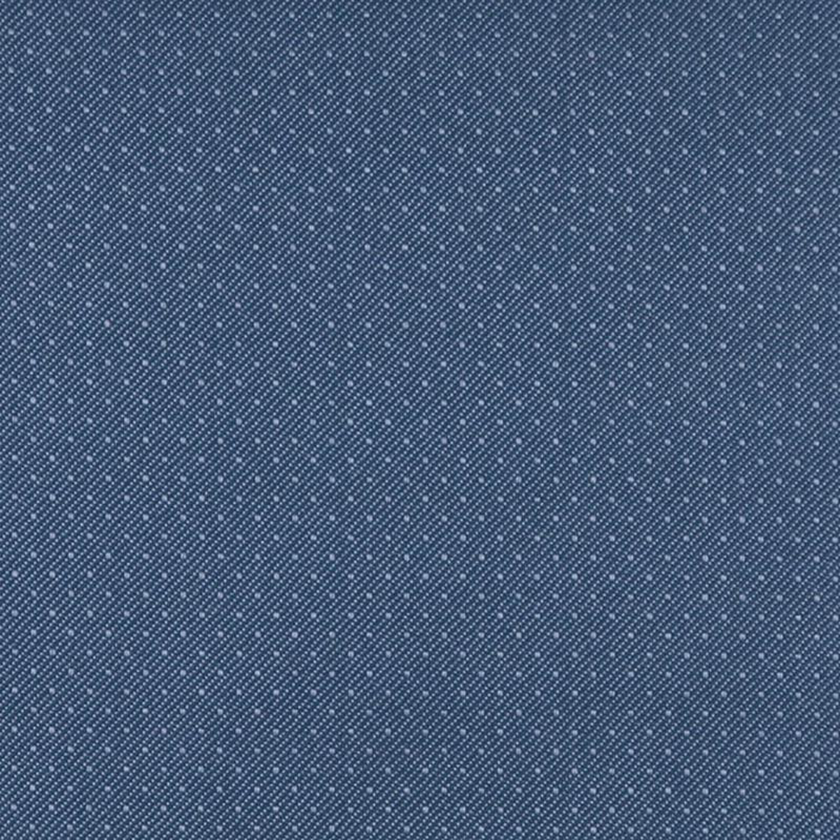 3801 Denim by Charlotte Fabric