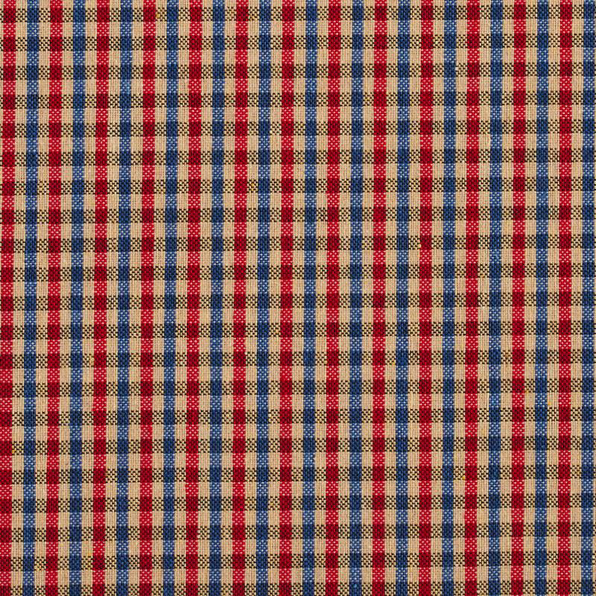 5814 Patriot Check by Charlotte Fabric