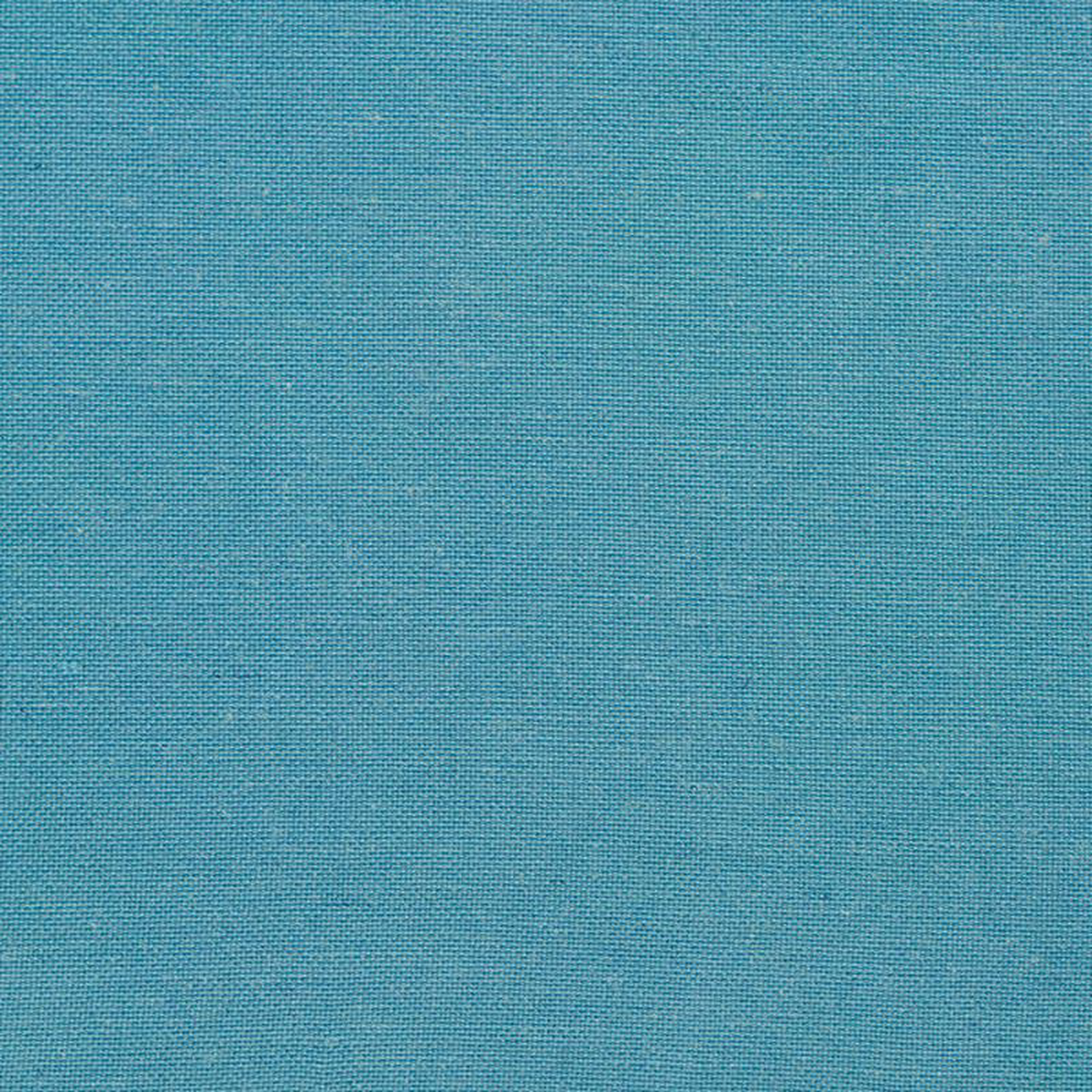 20900-08 by Charlotte Fabric