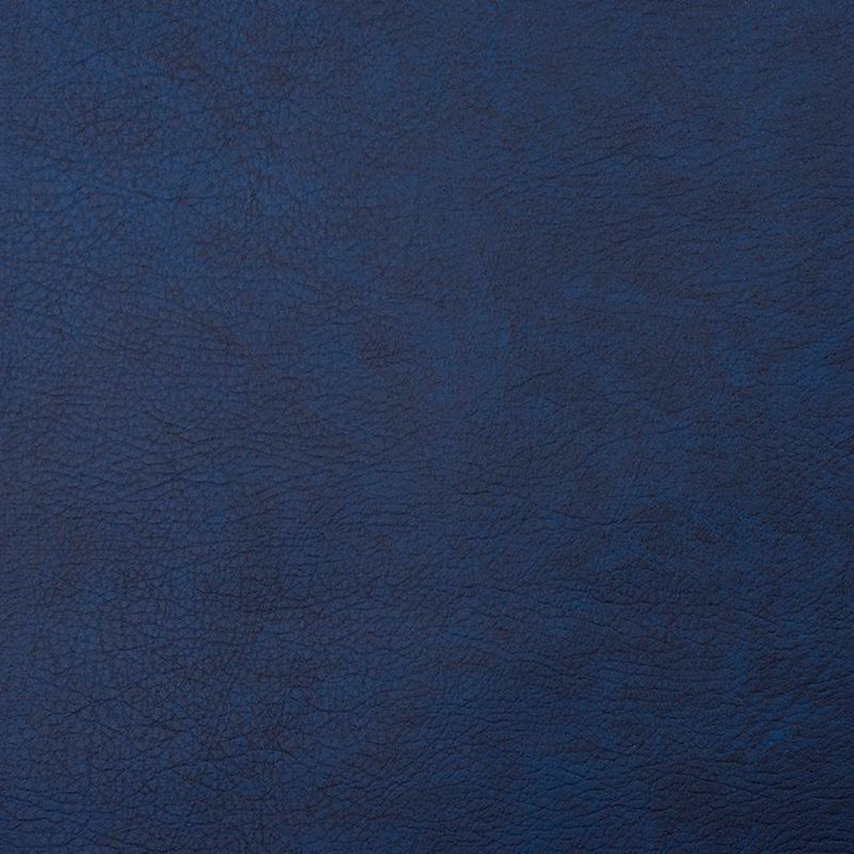 8101 Navy by Charlotte Fabric