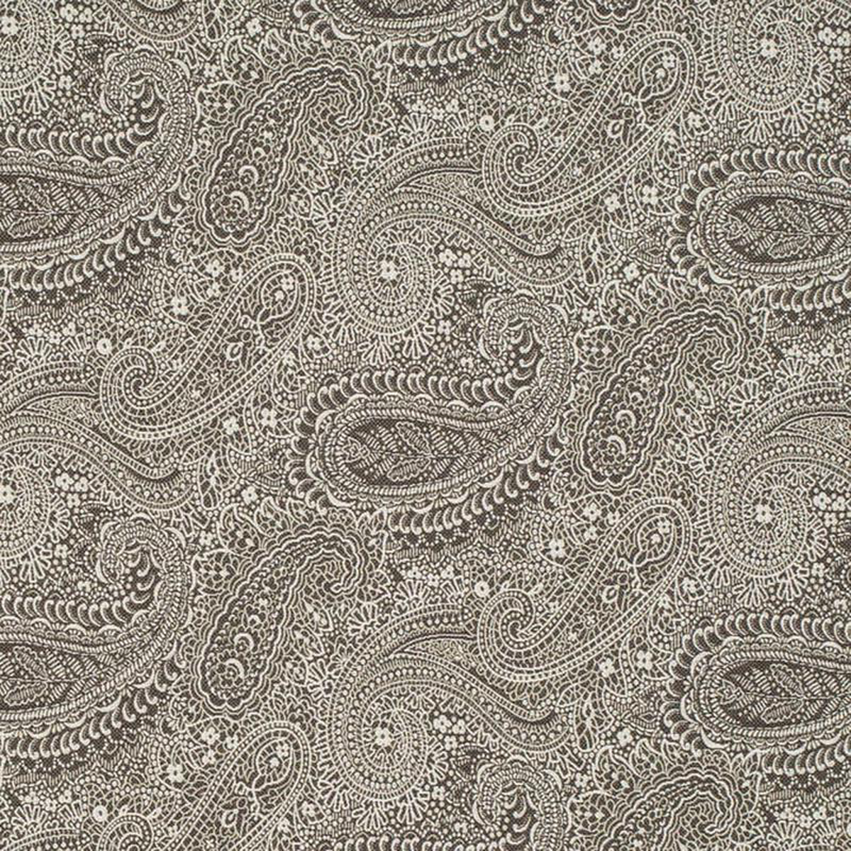 D3282 by Charlotte Fabric