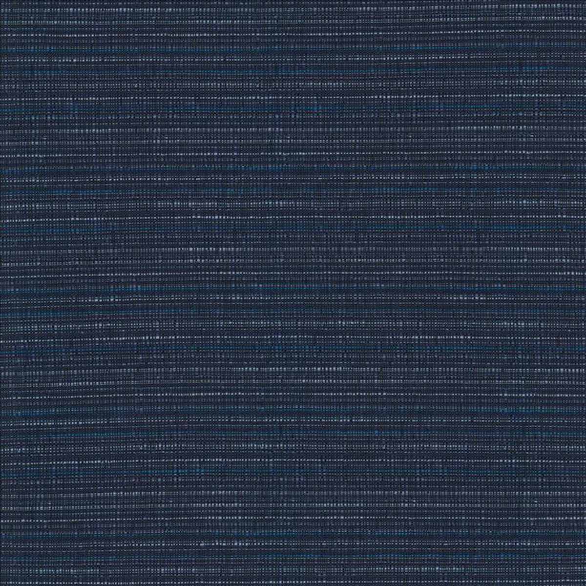 Concerto Midnight by Kasmir Fabric