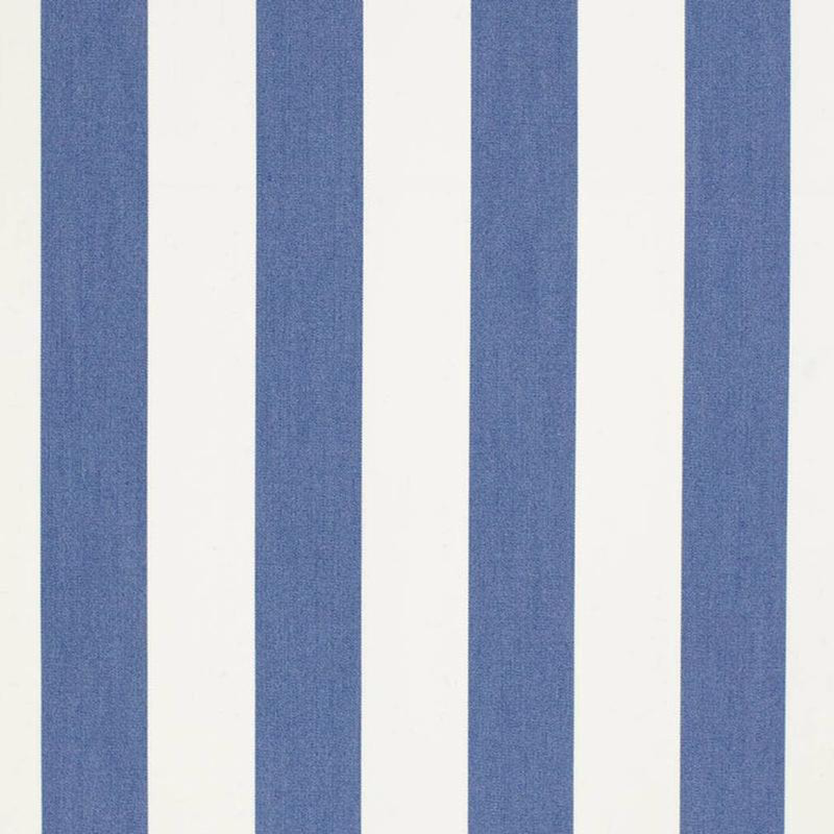 D3486 by Charlotte Fabric