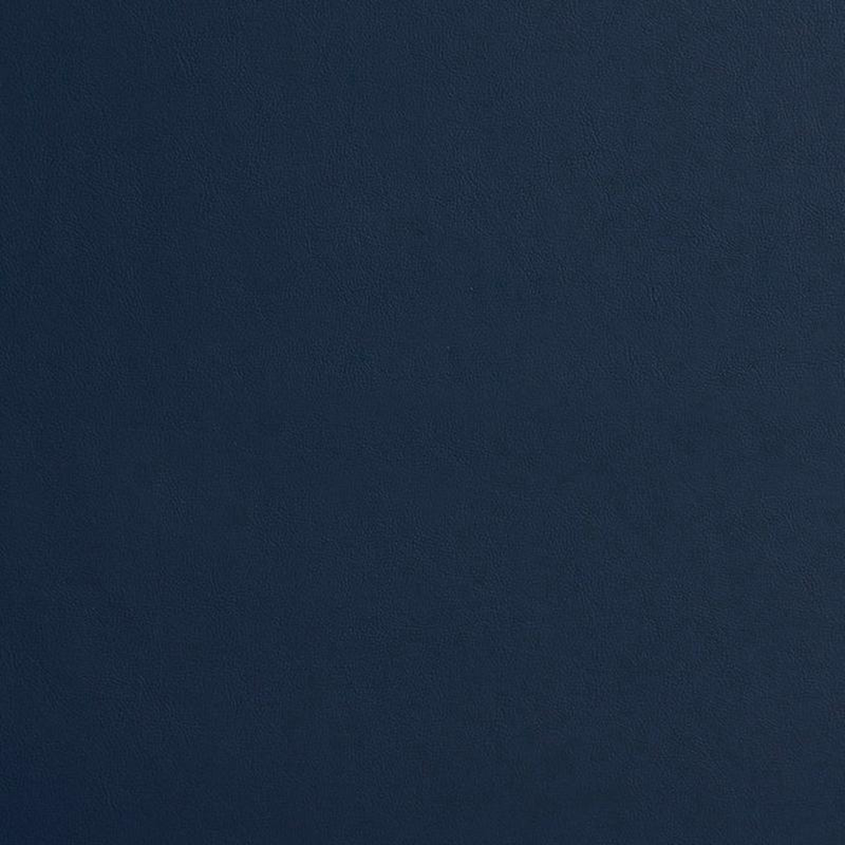 8213 Navy by Charlotte Fabric