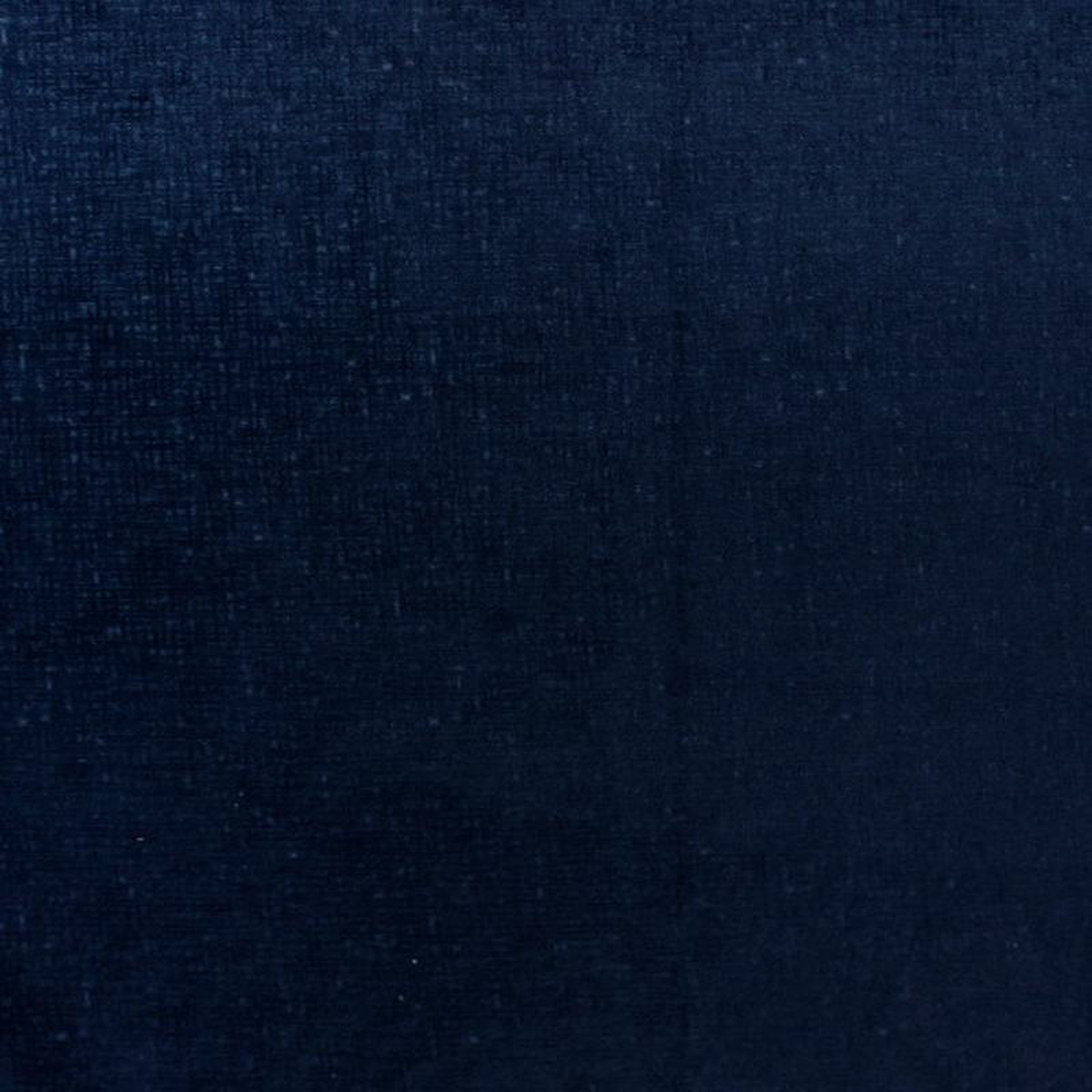 Untold 31909 by Barrow Fabric