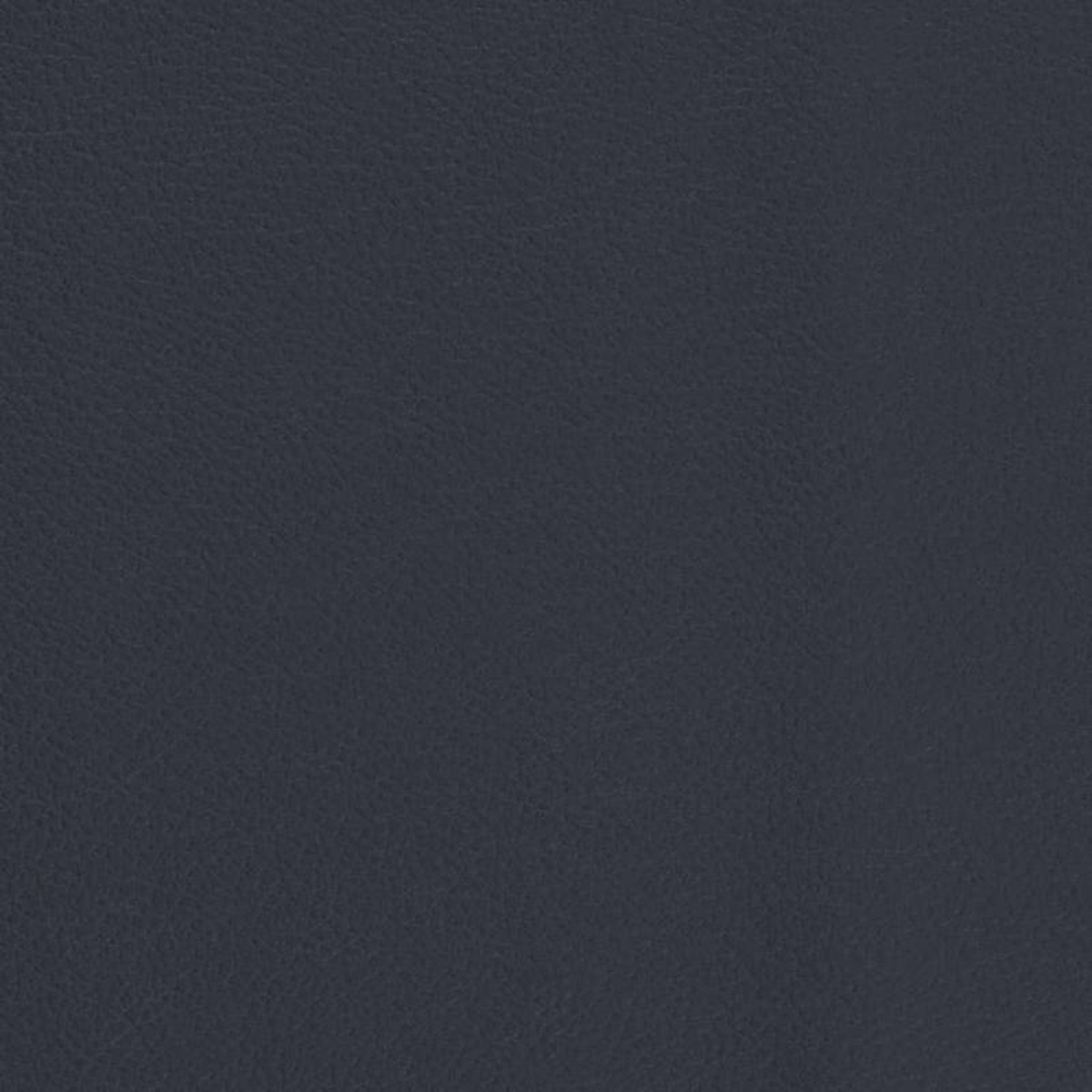 V679 Navy by Charlotte Fabric