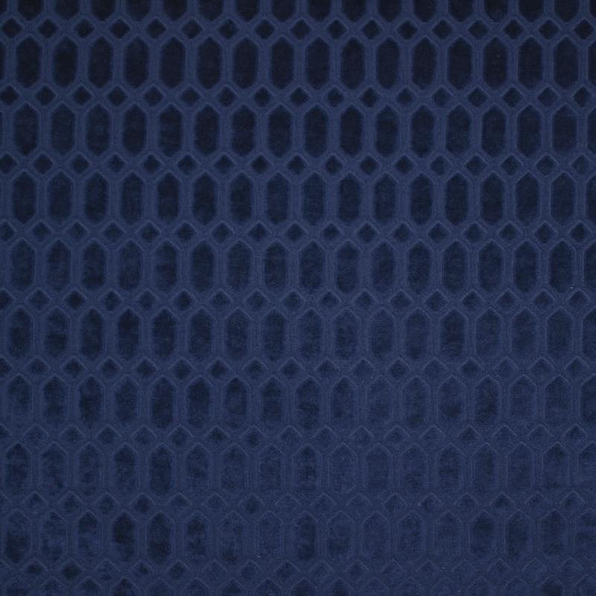 Zinnia 21908 by Barrow Fabric