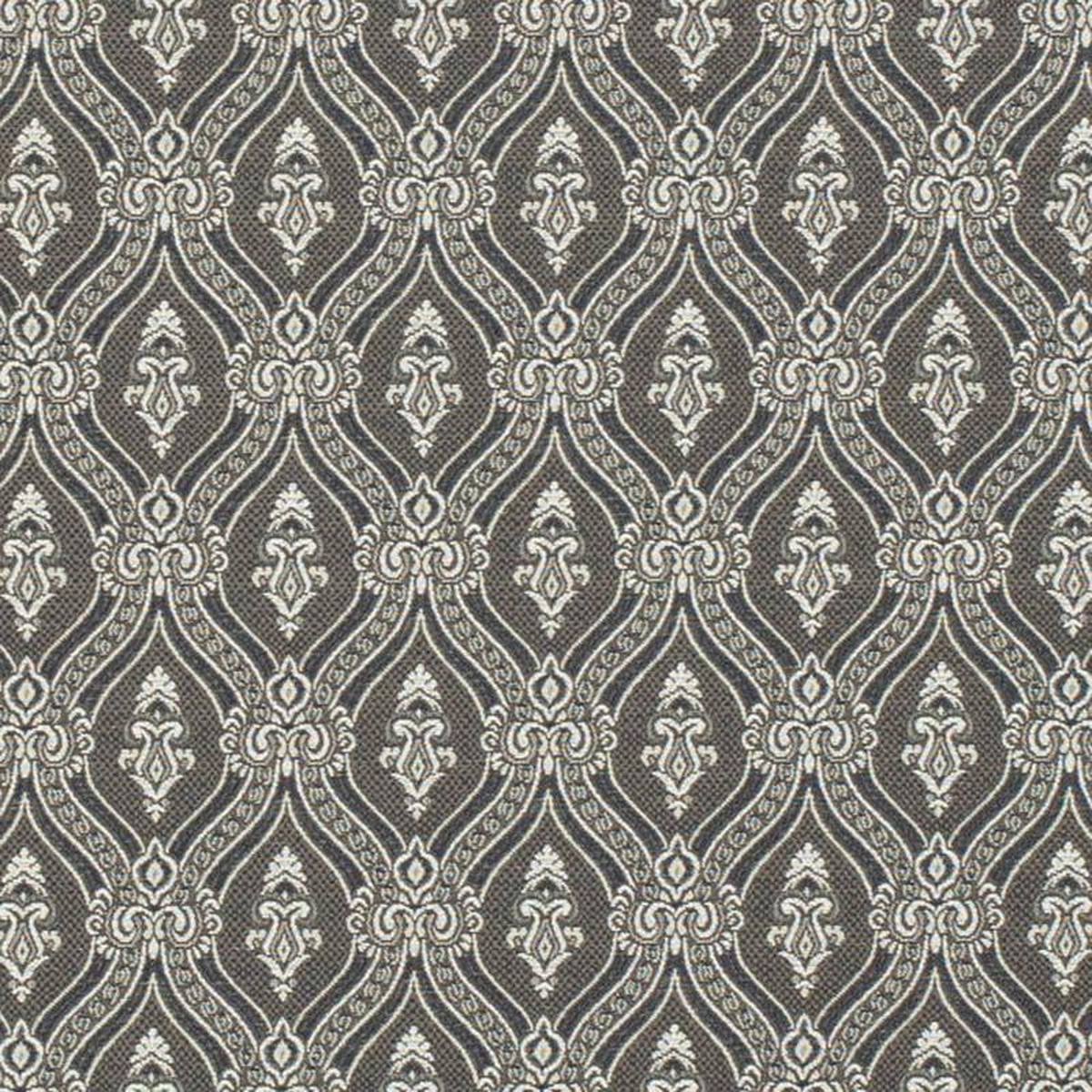 D3288 by Charlotte Fabric