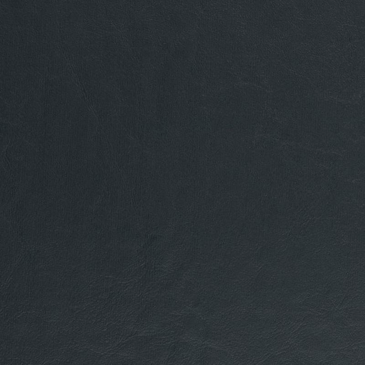 V433 Navy by Charlotte Fabric