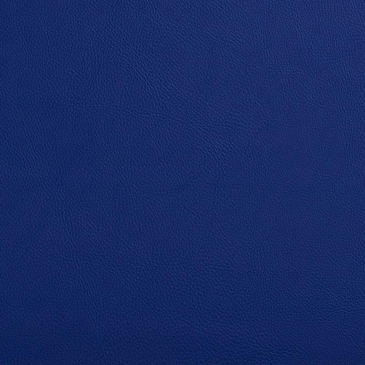 7445 Royal by Charlotte Fabric