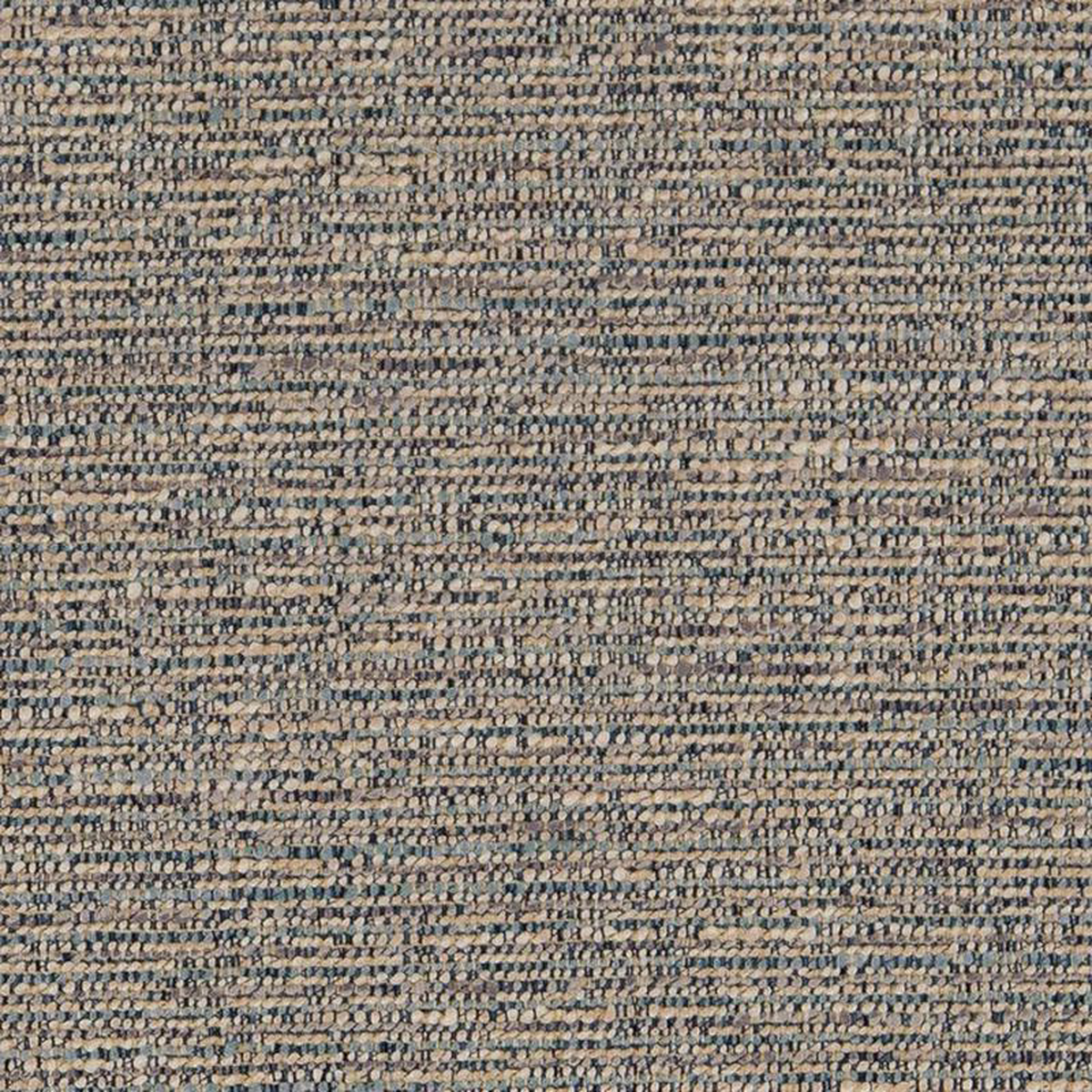 CB800-259 by Charlotte Fabric