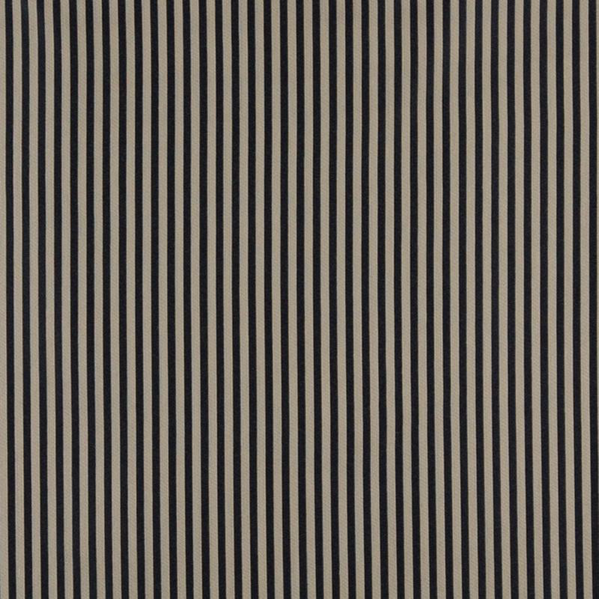 4376 Cobalt Stripe by Charlotte Fabric