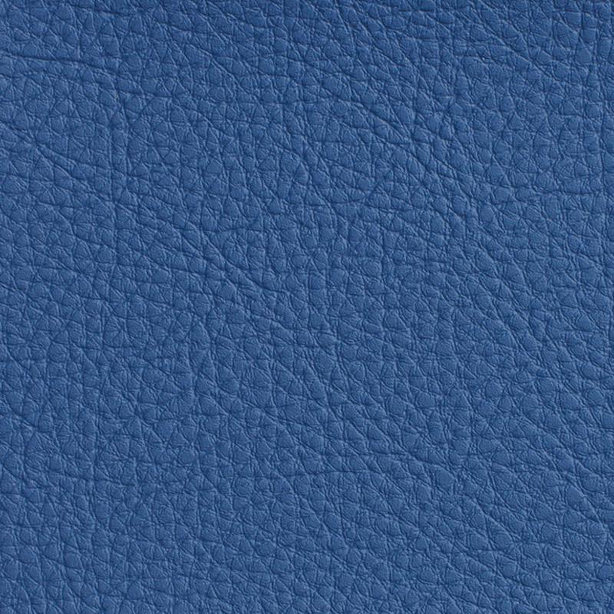7172 Wedgewood by Charlotte Fabric