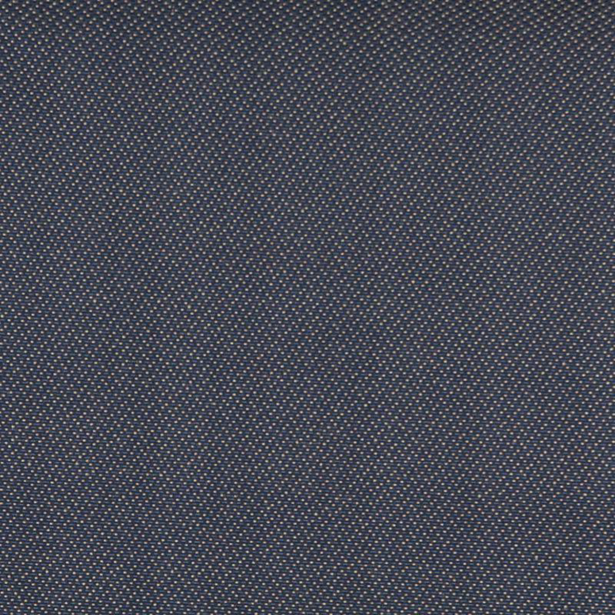 3744 Navy by Charlotte Fabric