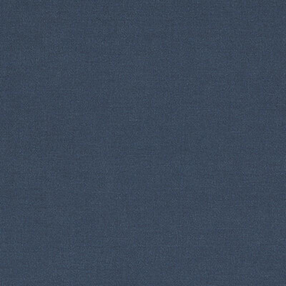 Lazio Midnight by Clarke And Clarke Fabric