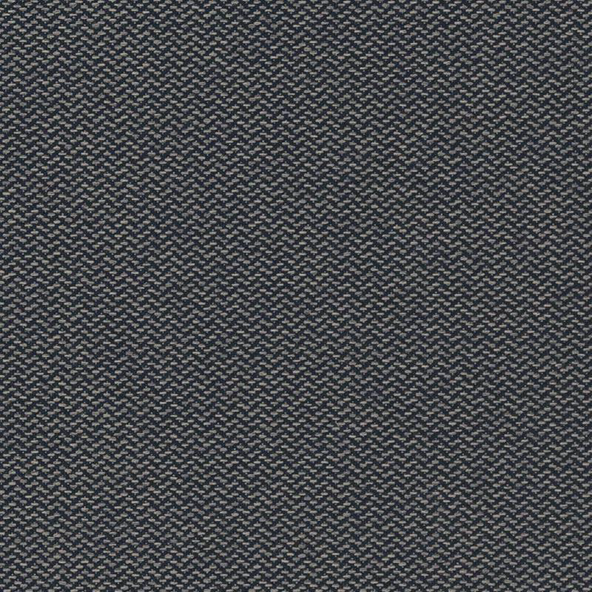 D1623 Dresden by Charlotte Fabric