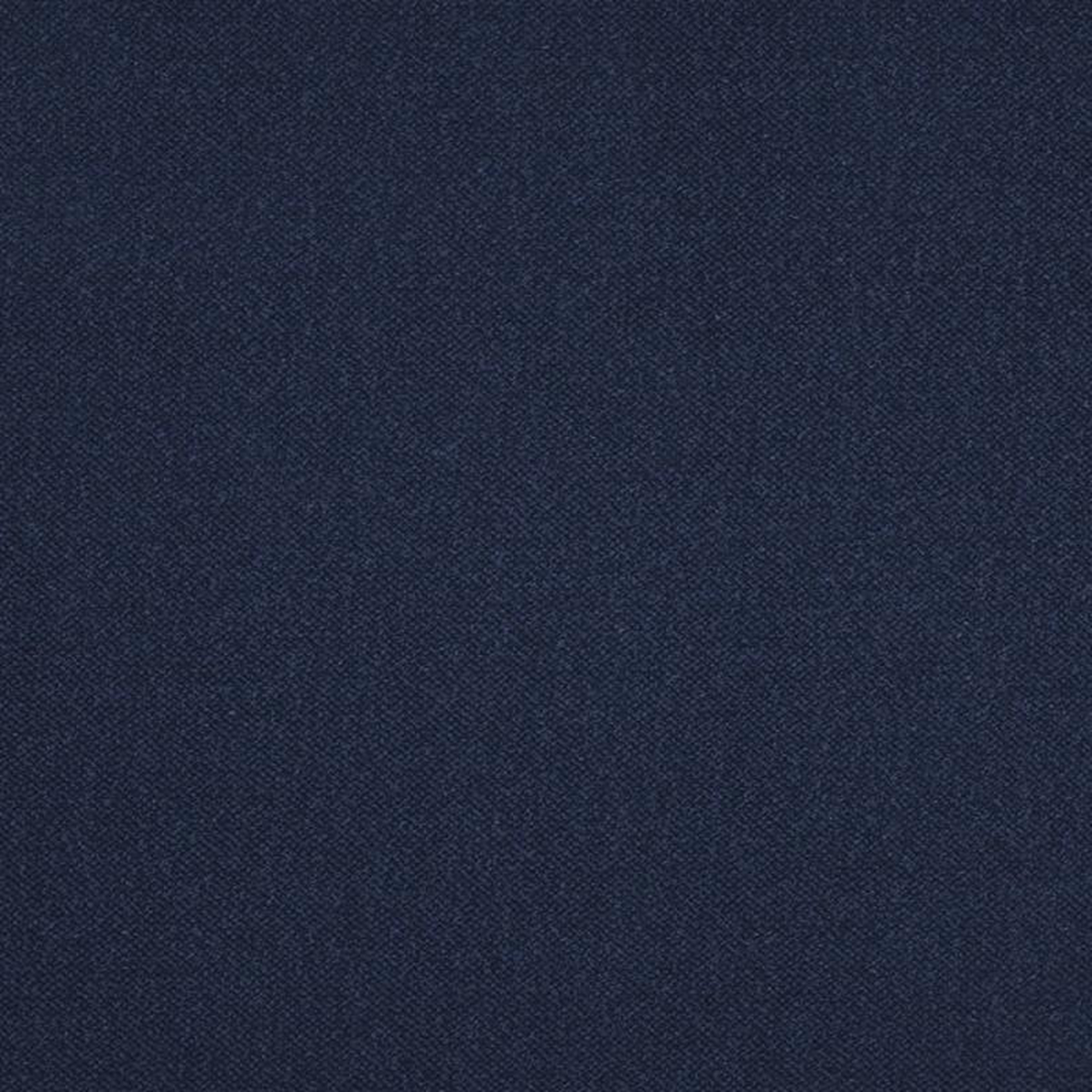 Genesis 31909 by Barrow Fabric
