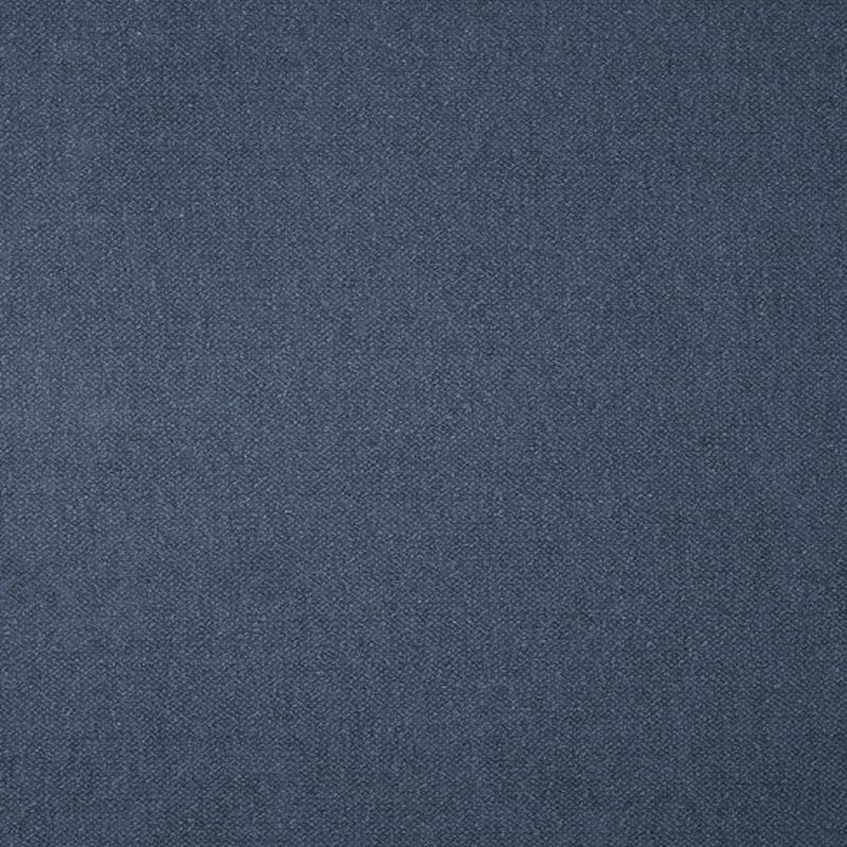 Genesis 41906 by Barrow Fabric